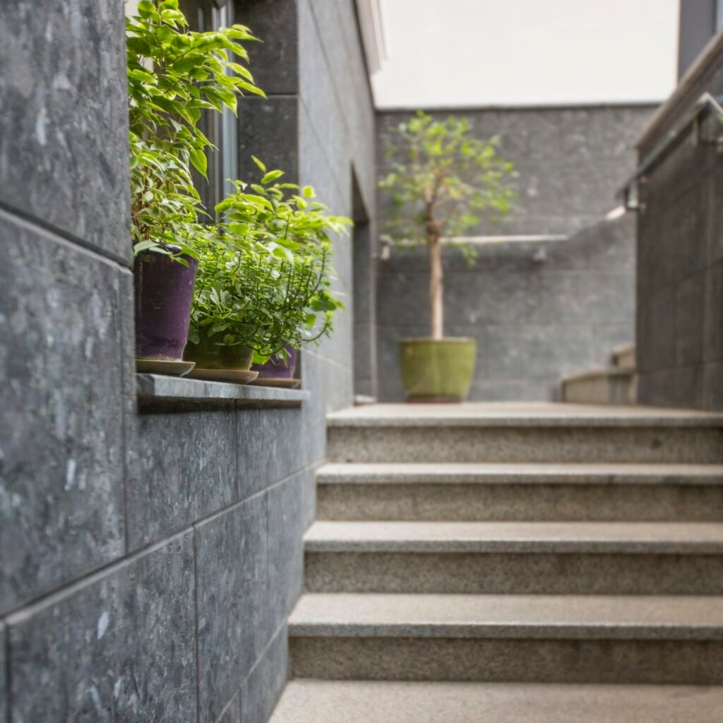 Green plants near cafe or restaurant entrance, concrete stairs
